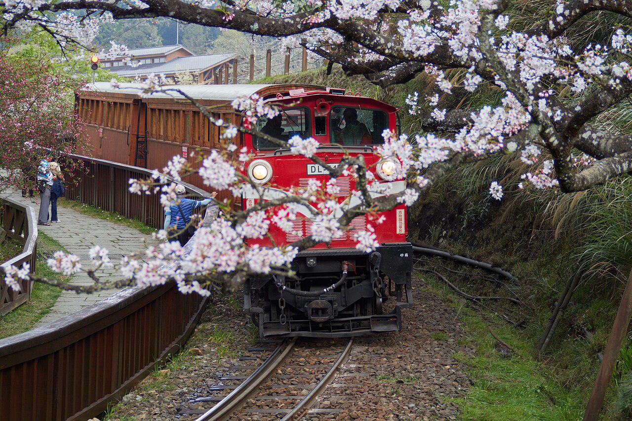 A view of Alishan